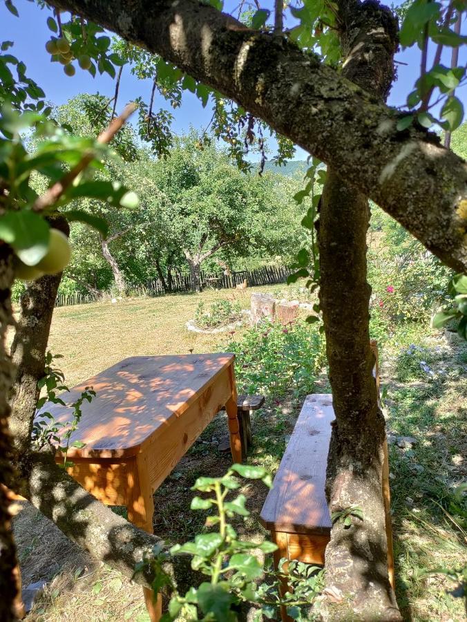 Village House Mestia Ngoại thất bức ảnh